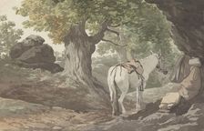 View from the Grotta delle Capre, 1778. Creator: Louis Ducros