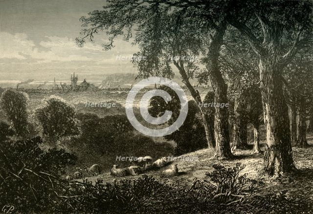 'View from West Park', 1874.  Creator: Granville Perkins.
