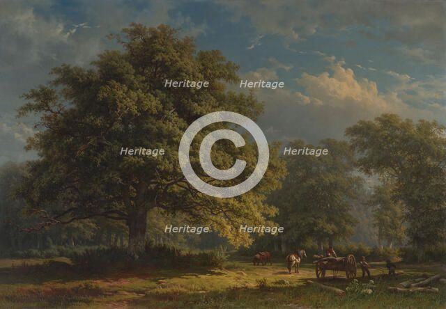 View in the Bentheim Forest, 1870. Creator: George Andries Roth.