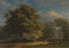View in the Bentheim Forest, 1870. Creator: George Andries Roth