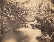 View in the Gardens at Netherley, ca. 1856-59. Creator: Horatio Ross