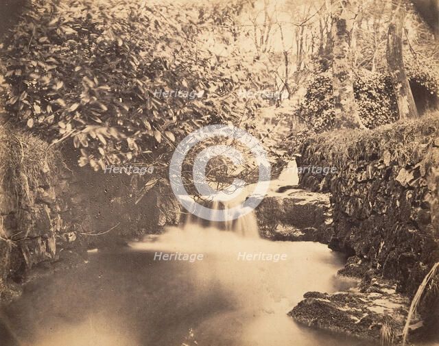 View in the Gardens at Netherley, ca. 1856-59. Creator: Horatio Ross.