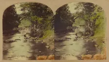 View in the Dargle, county Wicklow, Ireland., about 1860. Creator: London Stereoscopic & Photographic Co