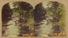 View in the Dargle, county Wicklow, Ireland., about 1860. Creator: London Stereoscopic & Photographic Co