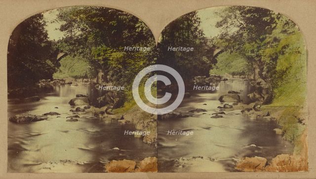 View in the Dargle, county Wicklow, Ireland., about 1860. Creator: London Stereoscopic & Photographic Co.