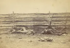 View in the Field, On the West Side of the Hagerstown Road, After the Battle of Antietam, ..., 1862. Creator: Alexander Gardner
