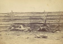 View in the Field, On the West Side of the Hagerstown Road, After the Battle of Antietam, ..., 1862. Creator: Alexander Gardner
