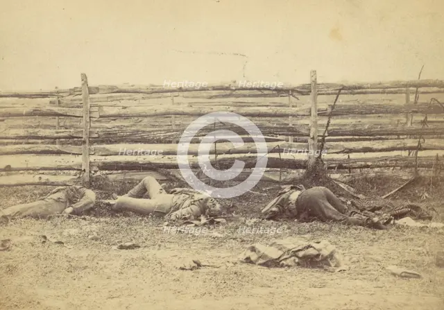 View in the Field, On the West Side of the Hagerstown Road, After the Battle of Antietam, ..., 1862. Creator: Alexander Gardner.
