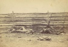 View in the Field, On the West Side of the Hagerstown Road, After the Battle of Antietam, ..., 1862. Creator: Alexander Gardner
