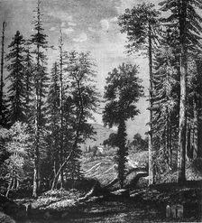 View in the Himalayas c1891. Creator: James Grant