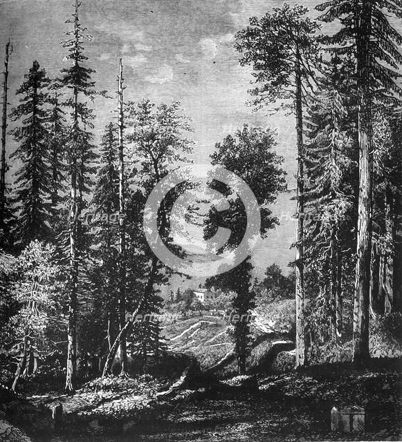 'View in the Himalayas', c1891. Creator: James Grant.