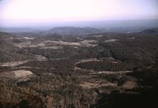 View in the mountains along the Skyline Drive, Va., ca. 1940. Creator: Jack Delano