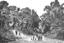 'View in the suburbs of Batavia; from Sydney to Singapore 1875. Creator: Unknown