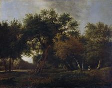 View in the Woods, 1660-1680. Creator: Jan van Kessel