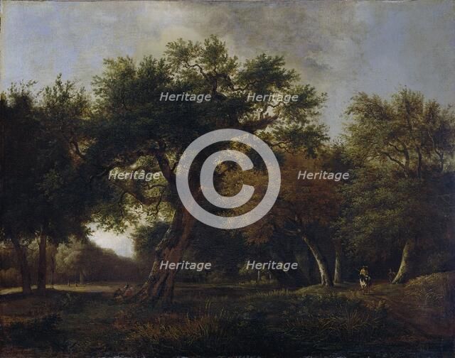 View in the Woods, 1660-1680. Creator: Jan van Kessel.