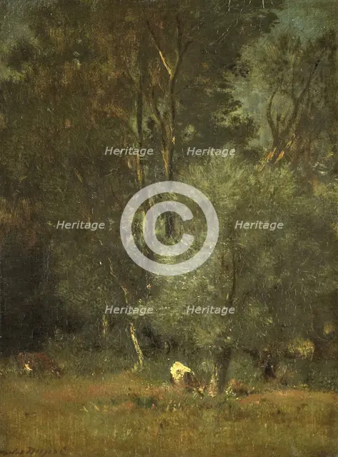 View in the Woods, 1840-1889. Creator: Jules Dupré.