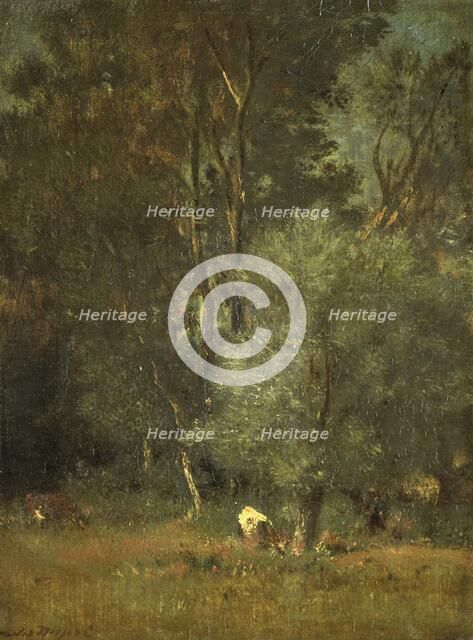 View in the Woods, 1840-1889. Creator: Jules Dupré.