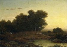 View in the Woods at Sunset, 1849. Creator: Louwrens Hanedoes