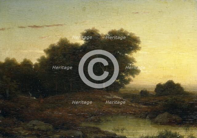 View in the Woods at Sunset, 1849. Creator: Louwrens Hanedoes.