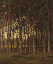 View in the Woods, c.1870-c.1904. Creator: Théophile de Bock