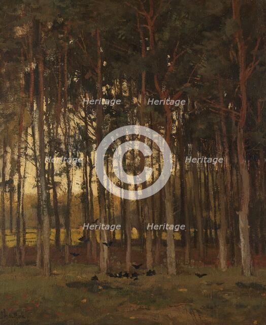 View in the Woods, c.1870-c.1904. Creator: Théophile de Bock.