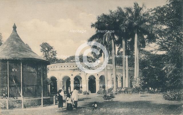 'View in the Zoological Gardens, Calcutta', c1910. Creator: Unknown.