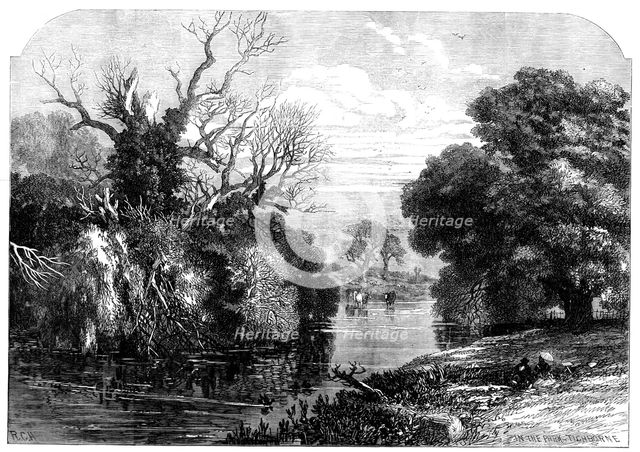 View in Tichborne Park, Alresford, Hants, 1871. Creator: Unknown.