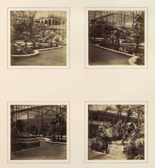 [View in Tropical Department; View of Egyptian Sphinxes], ca. 1859. Creator: Attributed to Philip Henry Delamotte