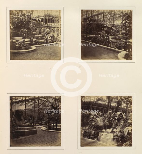 [View in Tropical Department; View of Egyptian Sphinxes], ca. 1859. Creator: Attributed to Philip Henry Delamotte.