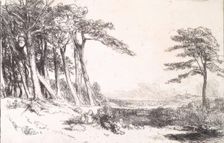 View in Caen Wood, Hampstead, c1800-1844. Creator: Andrew Geddes