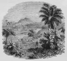 View in Cayenne c1880