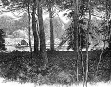 View in Claremont Park, Surrey, 1900