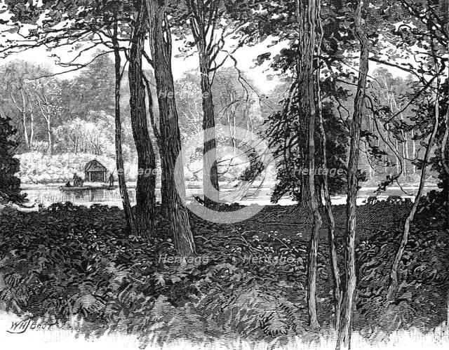 View in Claremont Park, Surrey, 1900. Artist: Unknown