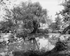 View in grounds of J.H. Wade [Park], Euclid Ave., Cleveland, ca 1900. Creator: William H. Jackson