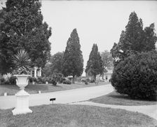 View in National Cemetery, Arlington, Va., between 1900 and 1910. Creator: Unknown