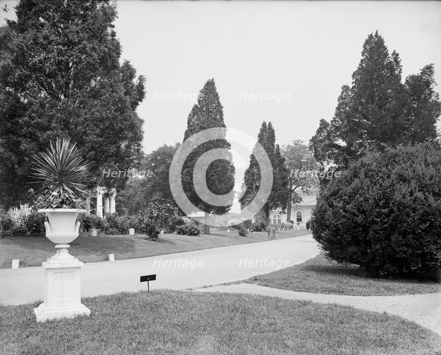 View in National Cemetery, Arlington, Va., between 1900 and 1910. Creator: Unknown.