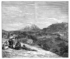 View in New Zealand, 1900