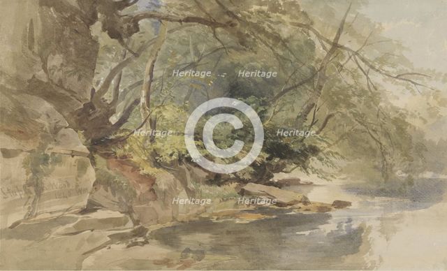 View in Stapleton Wood, near Bristol, 1843. Creator: William James Muller.