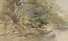 View in Stapleton Wood, near Bristol, 1843. Creator: William James Muller