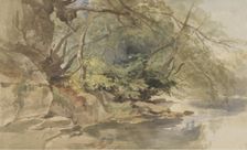 View in Stapleton Wood, near Bristol, 1843. Creator: William James Muller