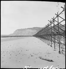 View looking south along the beach at Shanklin, showing Admiralty scaffolding, Isle Of Wight, 1945. Creator: George R Long