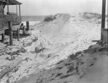 View near Arnold Genthe's bungalow in Long Beach, New York, between 1911 and 1942. Creator: Arnold Genthe