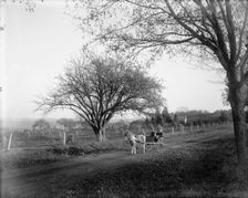 View near Basking Ridge, N.J., c1900. Creator: Unknown