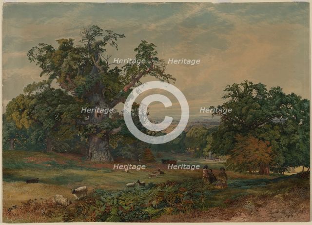 View near Bedford. Creator: Bradford Rudge (British, 1805-1885).