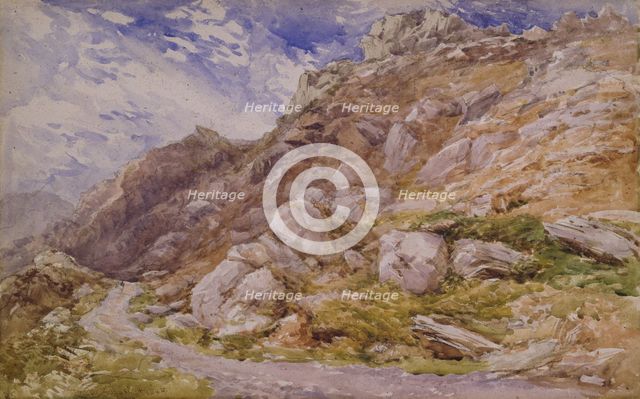 View near Bettws-y-Coed, 1846. Creator: David Cox the Elder.
