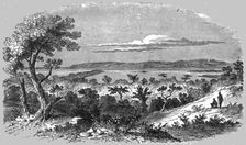 View near Durban; A Few Words about Natal and Zululand 1875. Creator: Unknown