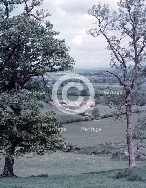 View near Llandysul, Wales, c1955. Creator: Arthur Charles Kirby Ware.