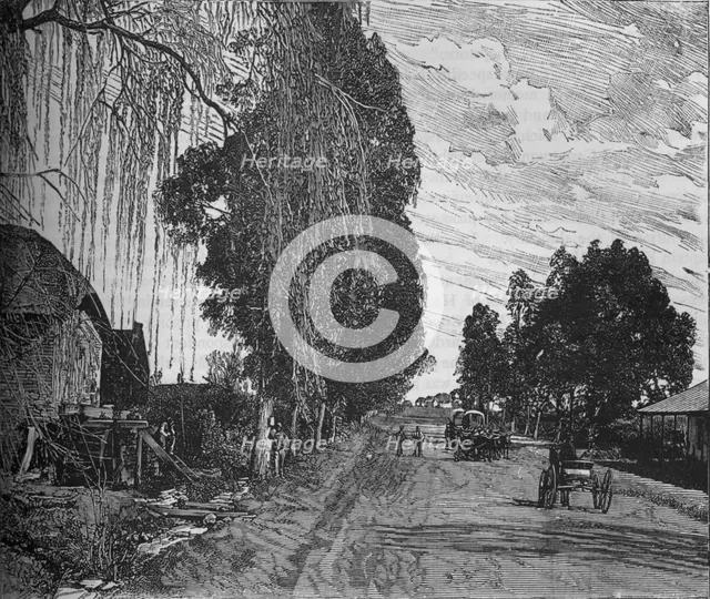 'View near Pretoria', c1880. Artist: Unknown.