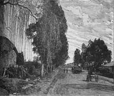 View near Pretoria c1880