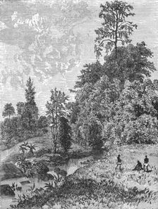 View near Tchelga, Abyssinian plateau; A journey through Soudan and Western Abyssinia..., 1875. Creator: Unknown